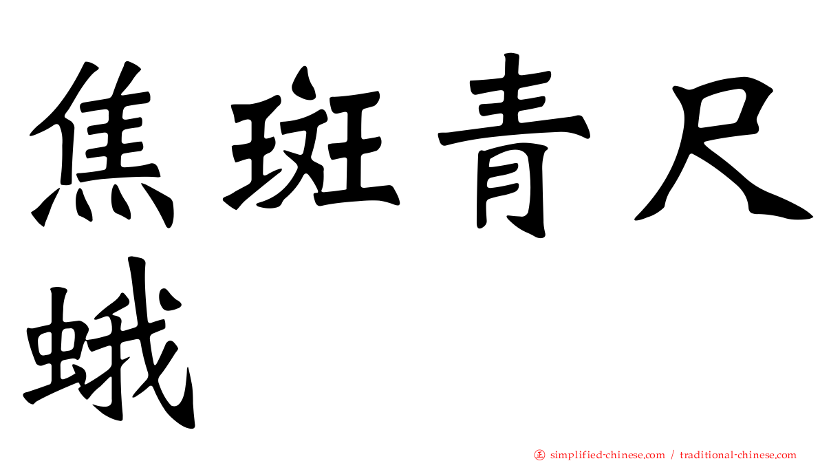 焦斑青尺蛾