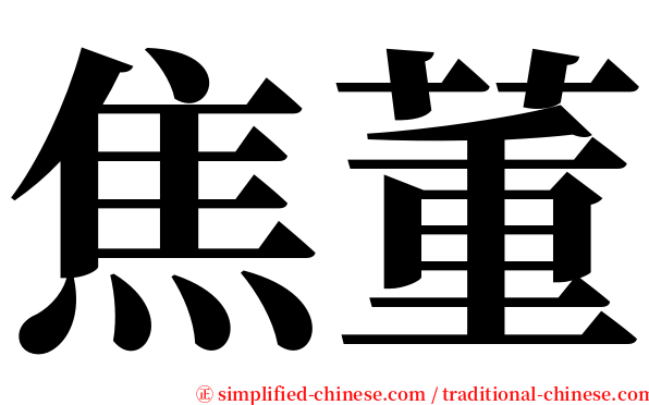 焦董 serif font