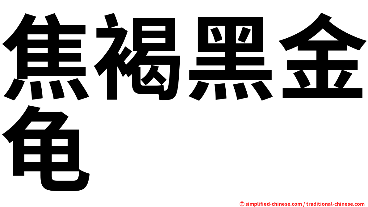 焦褐黑金龟