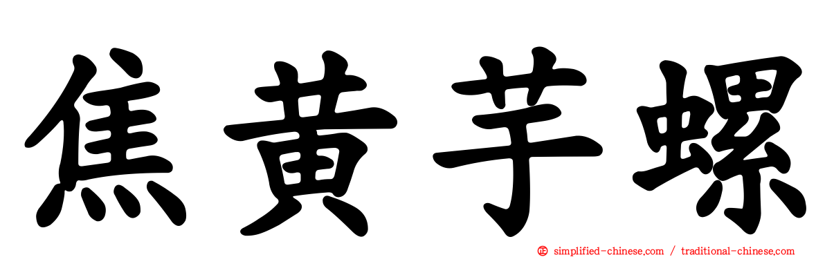 焦黄芋螺