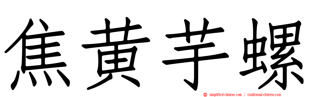 焦黄芋螺