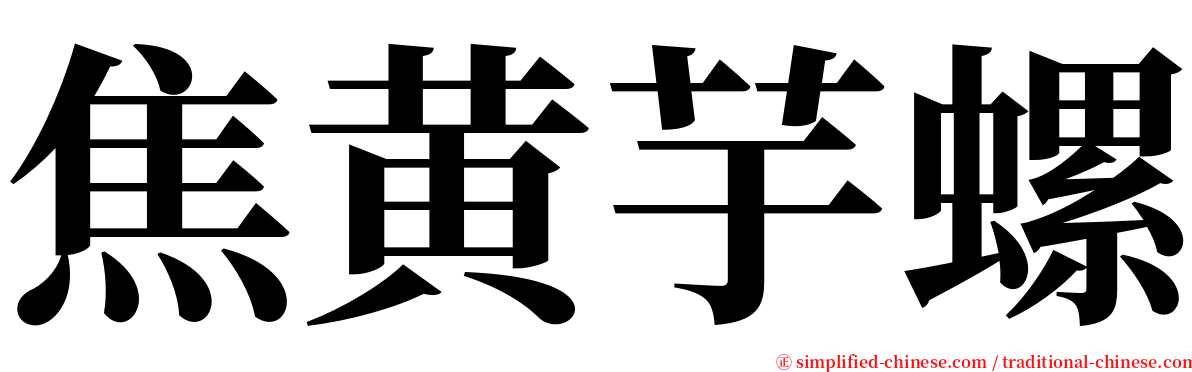 焦黄芋螺 serif font