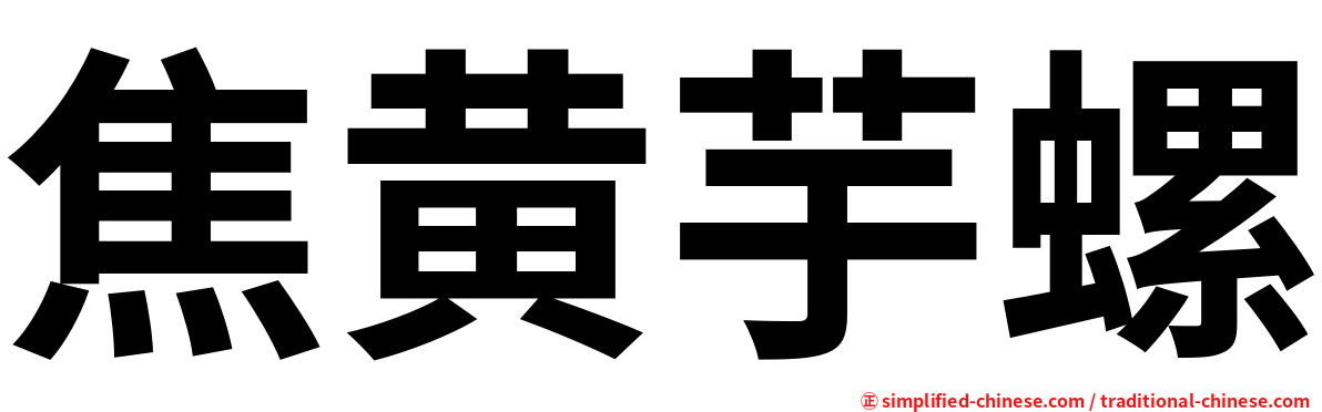 焦黄芋螺