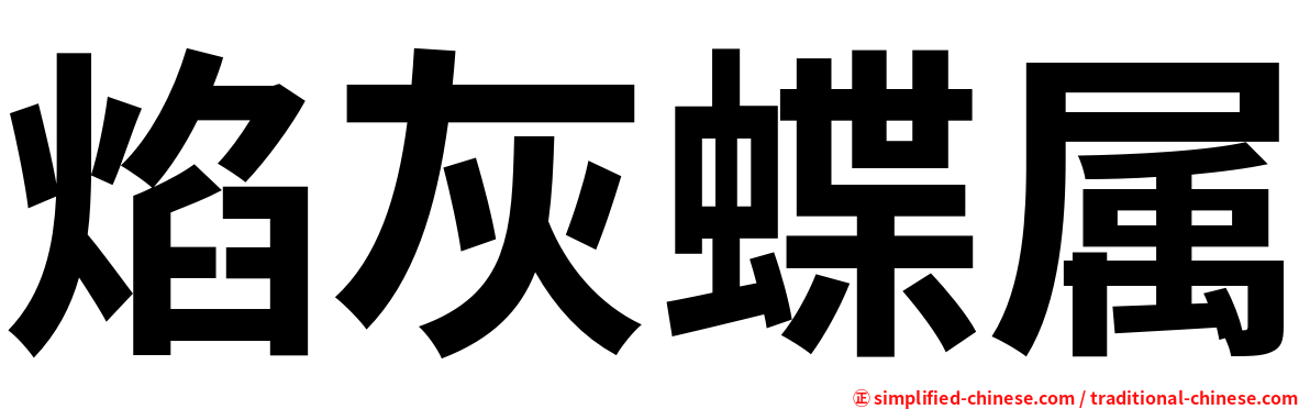 焰灰蝶属