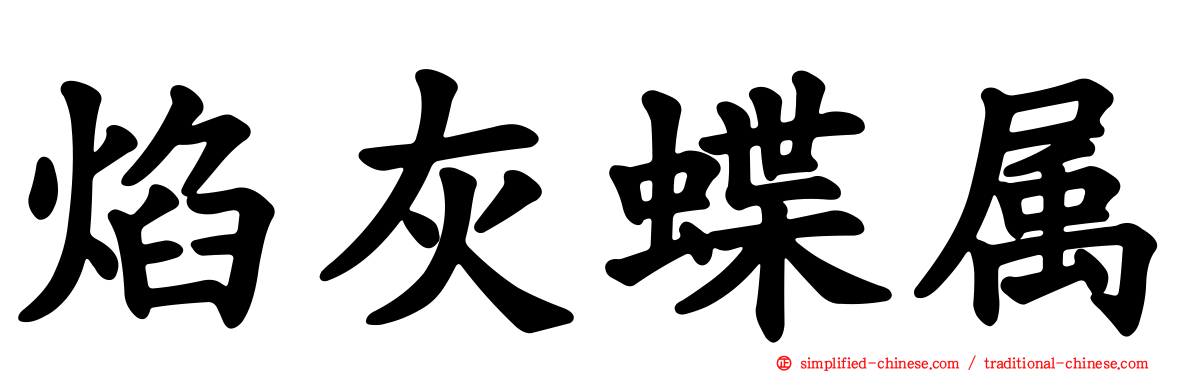 焰灰蝶属