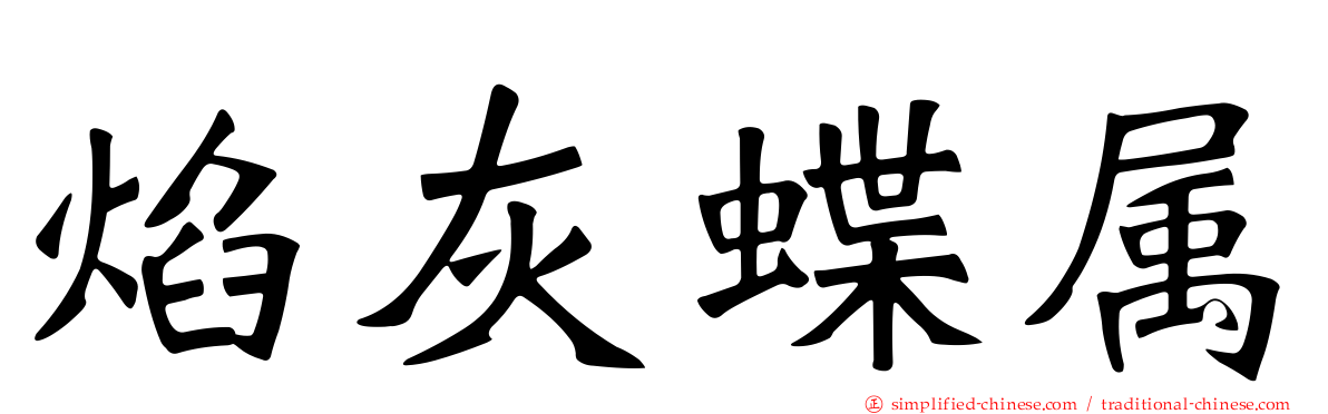 焰灰蝶属