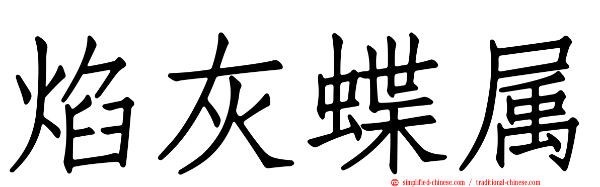 焰灰蝶属
