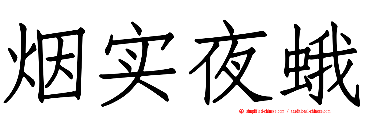 烟实夜蛾