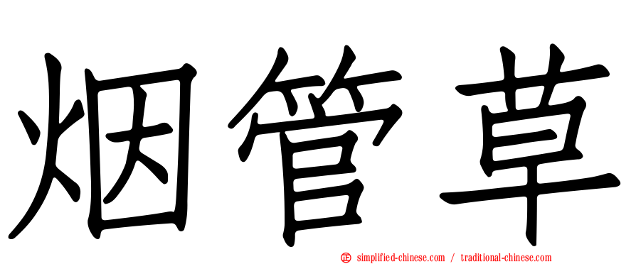 烟管草