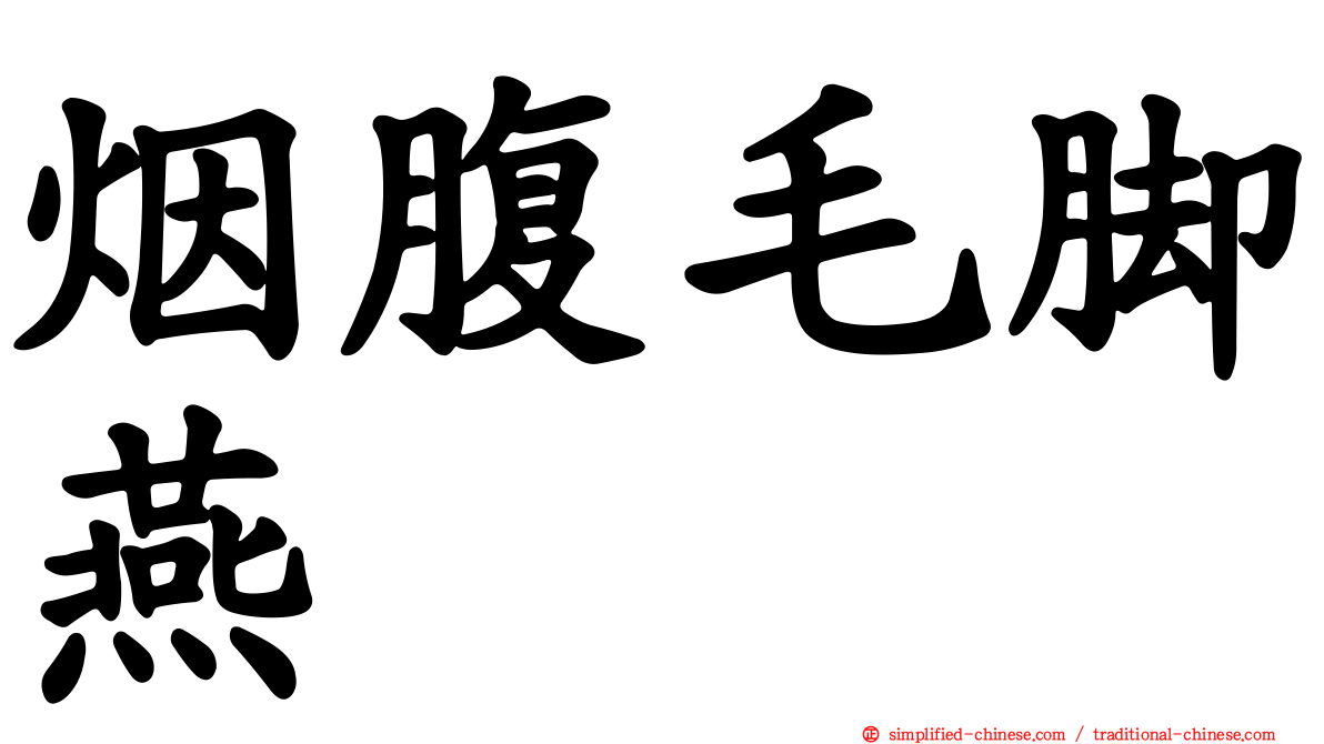 烟腹毛脚燕