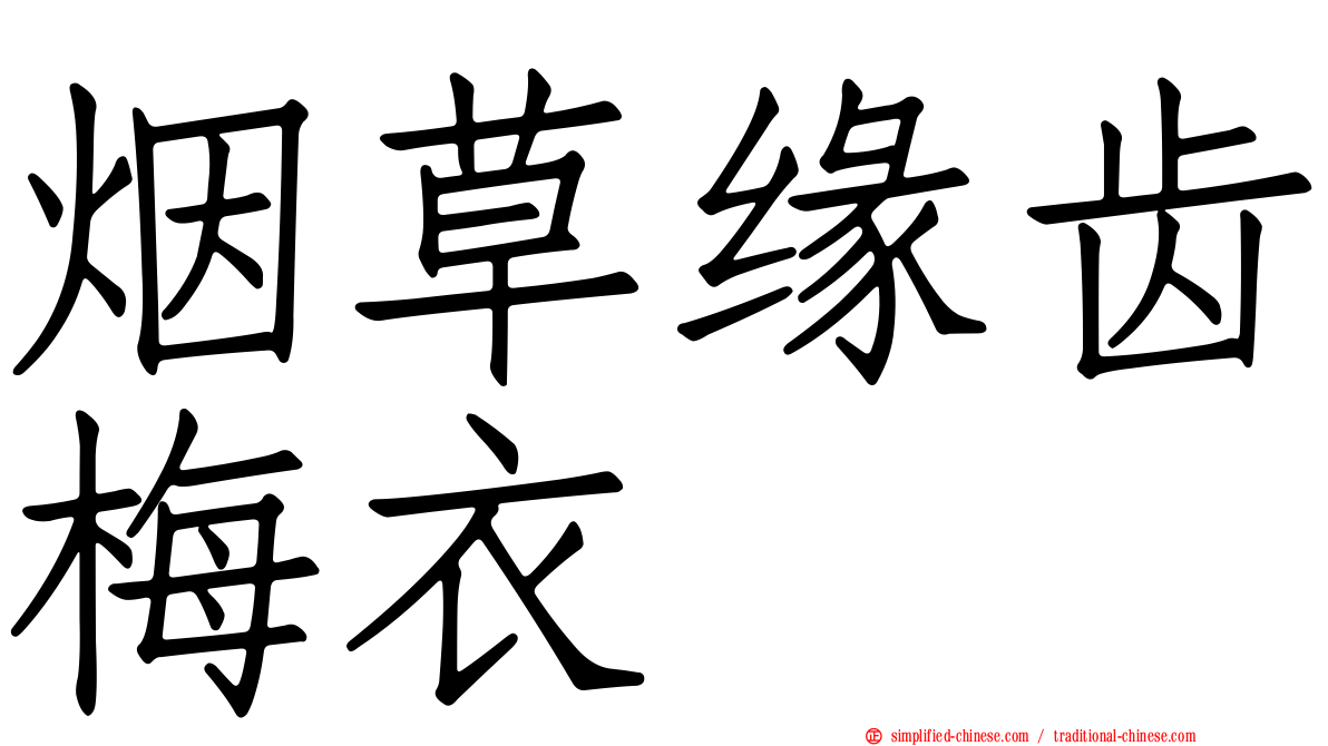 烟草缘齿梅衣
