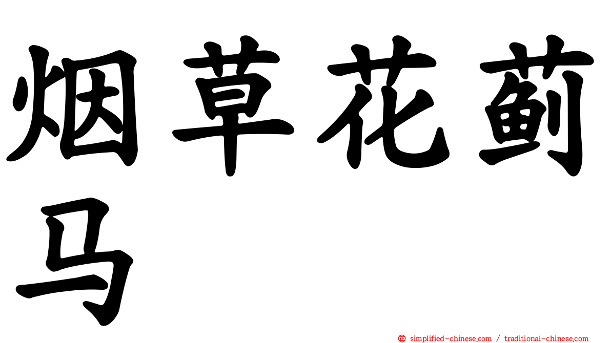 烟草花蓟马