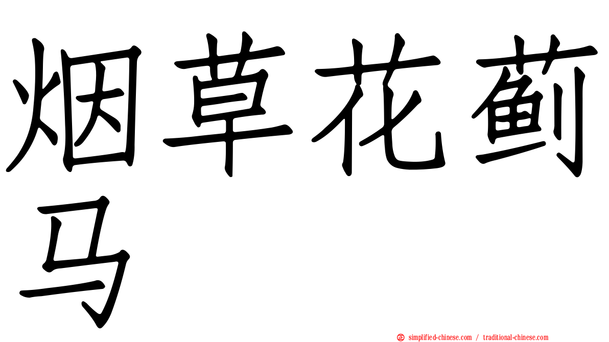 烟草花蓟马
