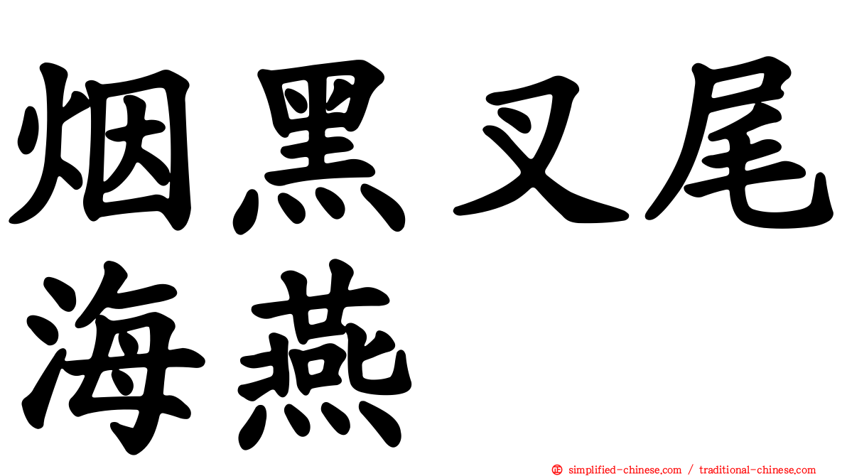 烟黑叉尾海燕