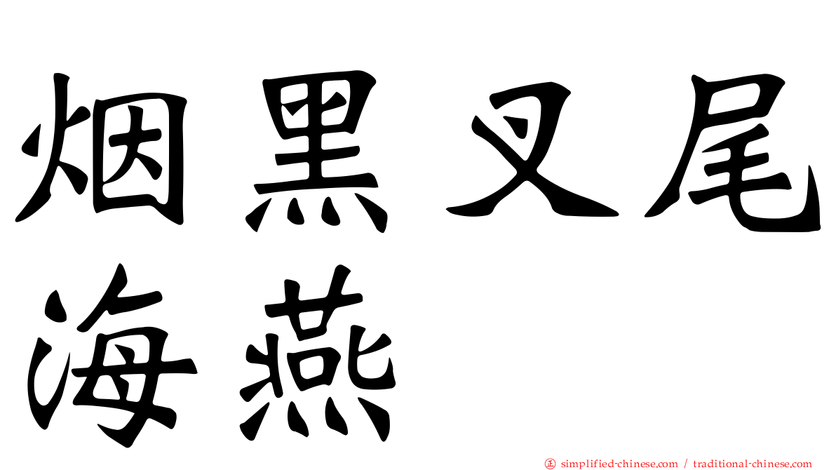 烟黑叉尾海燕