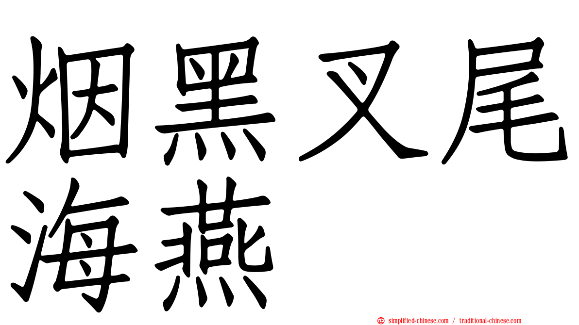 烟黑叉尾海燕