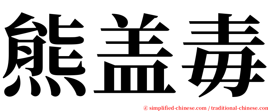 熊盖毒 serif font