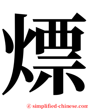 熛 serif font