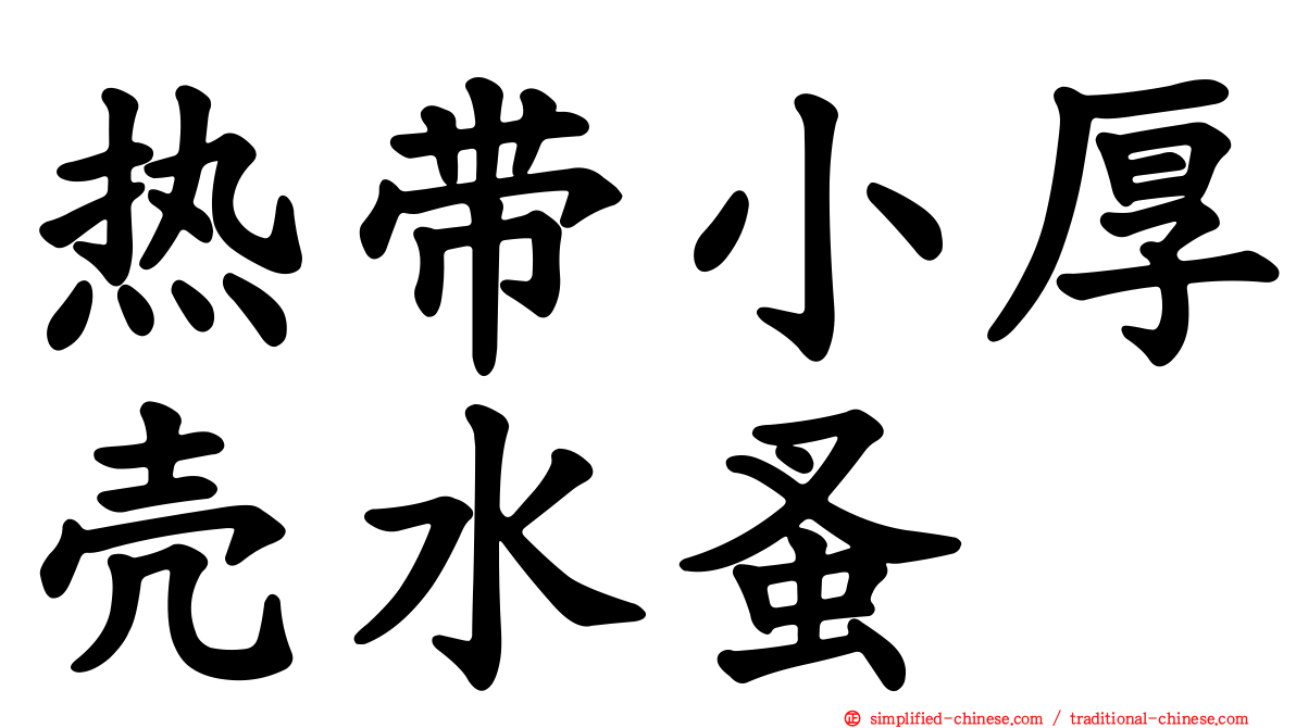 热带小厚壳水蚤