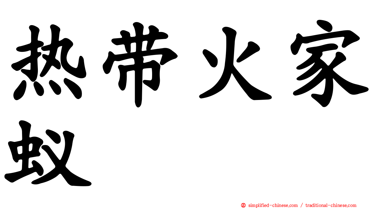 热带火家蚁