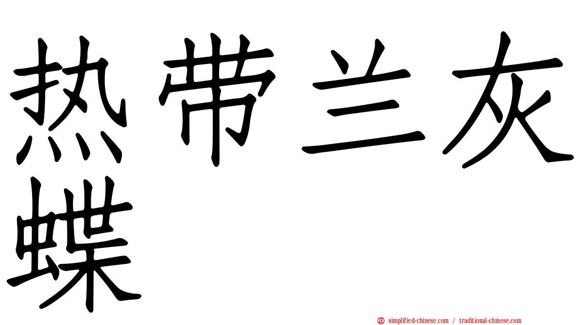 热带兰灰蝶