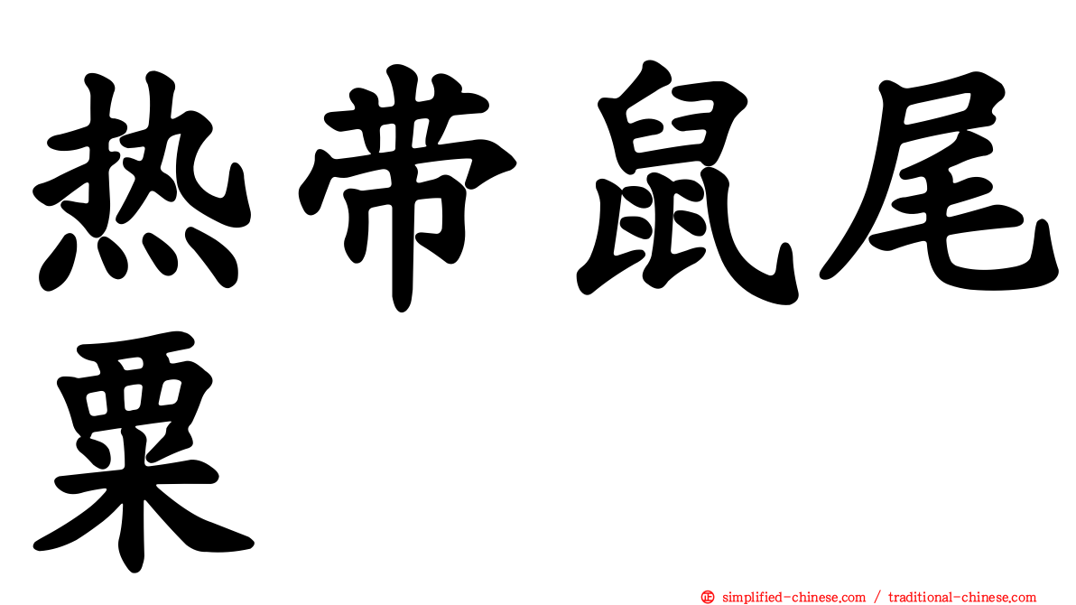 热带鼠尾粟