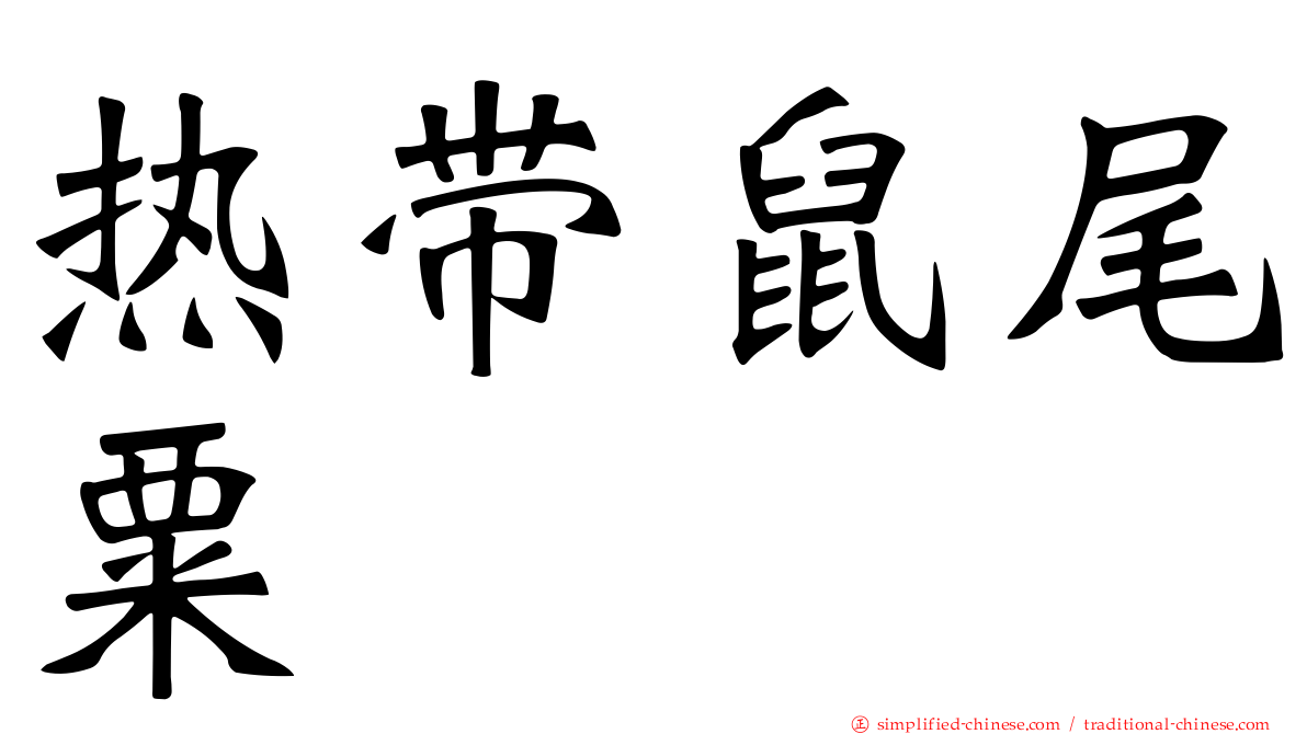 热带鼠尾粟