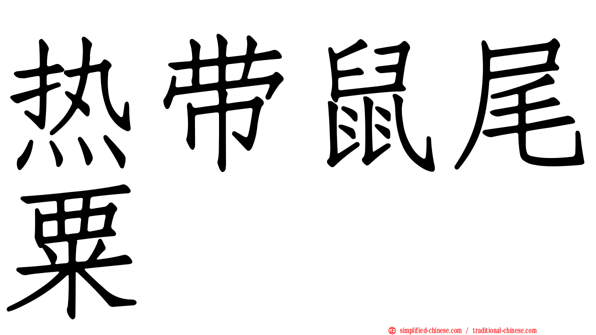 热带鼠尾粟