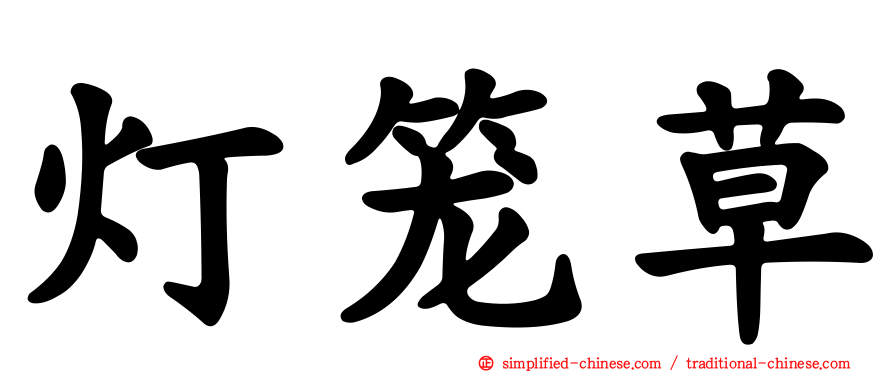 灯笼草