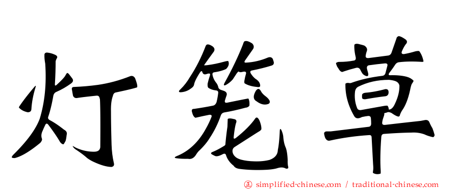 灯笼草