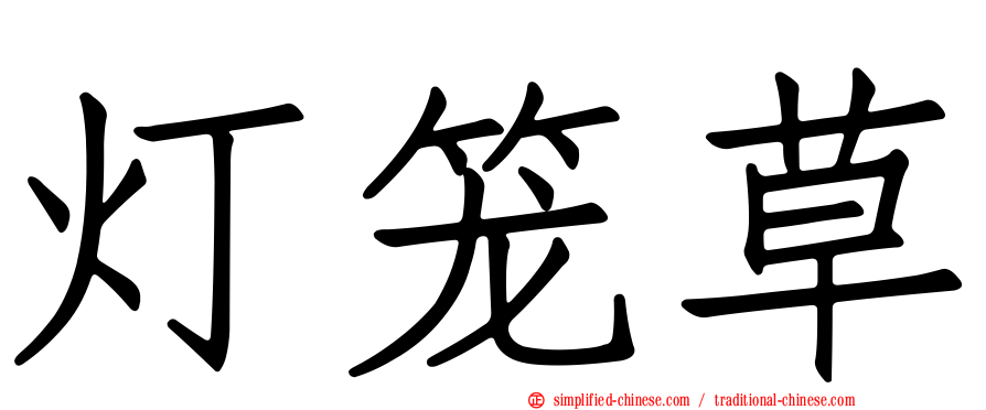 灯笼草