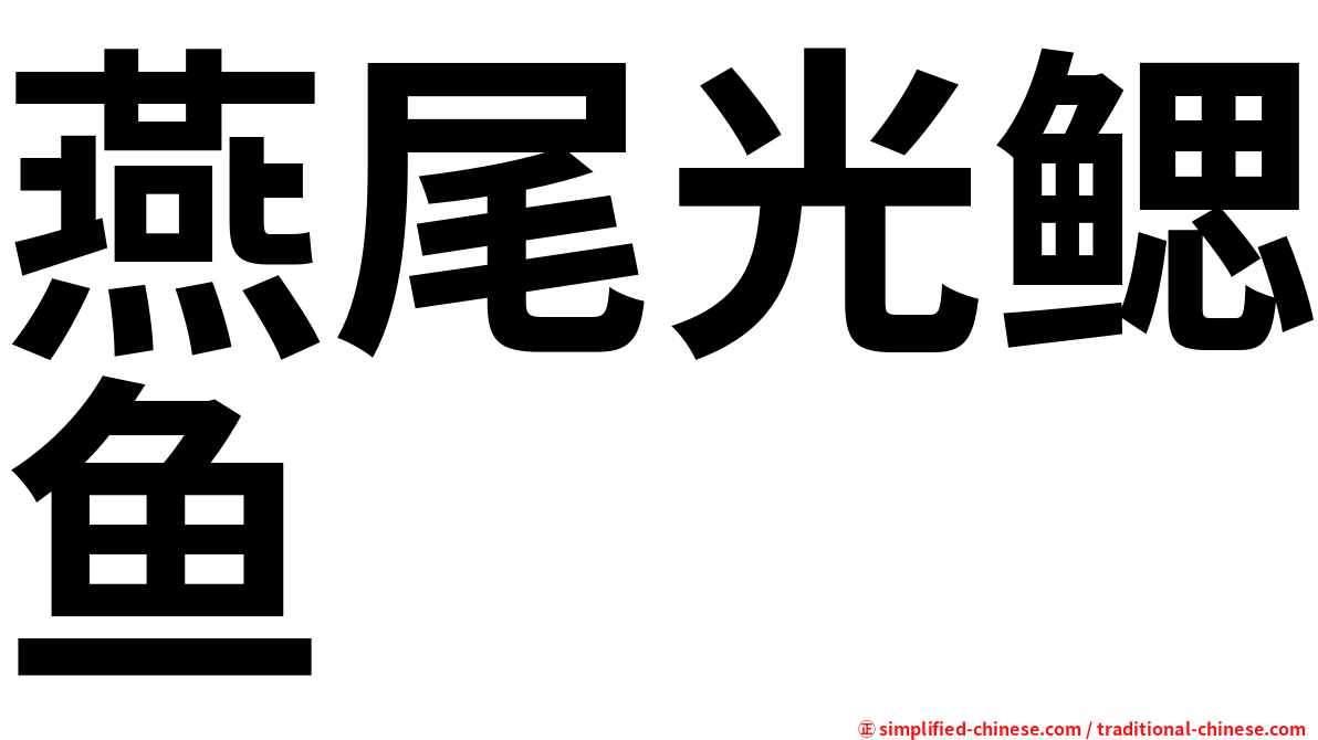 燕尾光鳃鱼