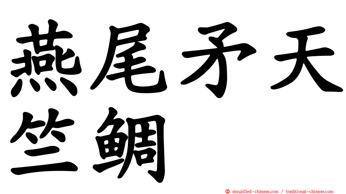 燕尾矛天竺鲷