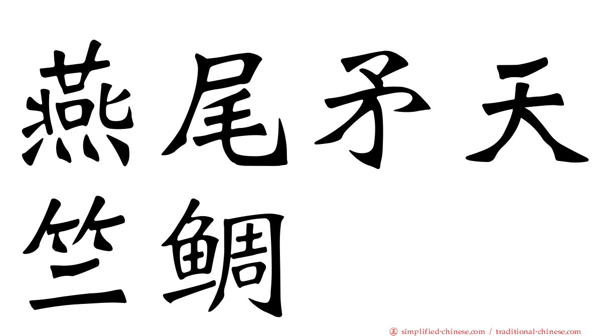 燕尾矛天竺鲷
