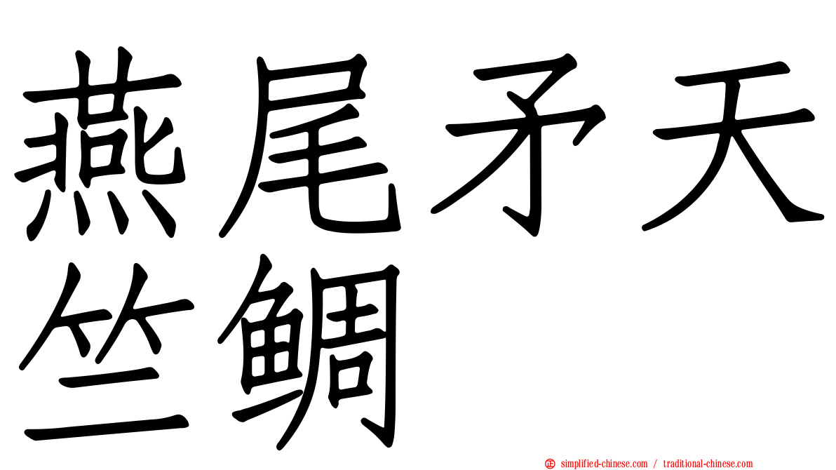 燕尾矛天竺鲷