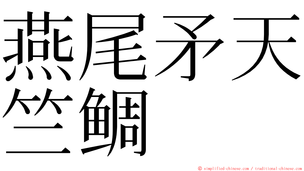 燕尾矛天竺鲷 ming font