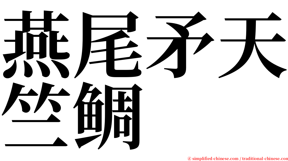 燕尾矛天竺鲷 serif font