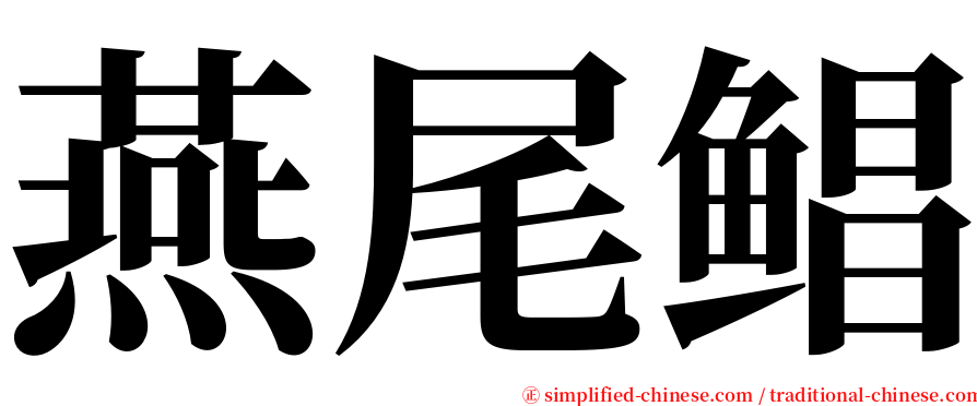 燕尾鲳 serif font