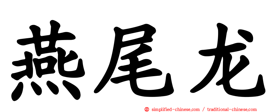 燕尾龙