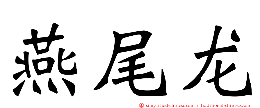 燕尾龙