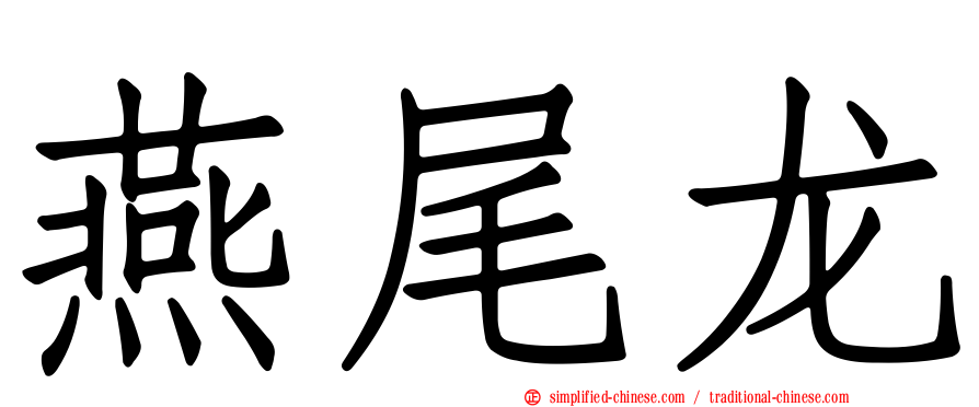 燕尾龙