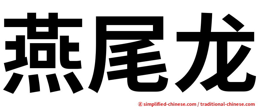 燕尾龙