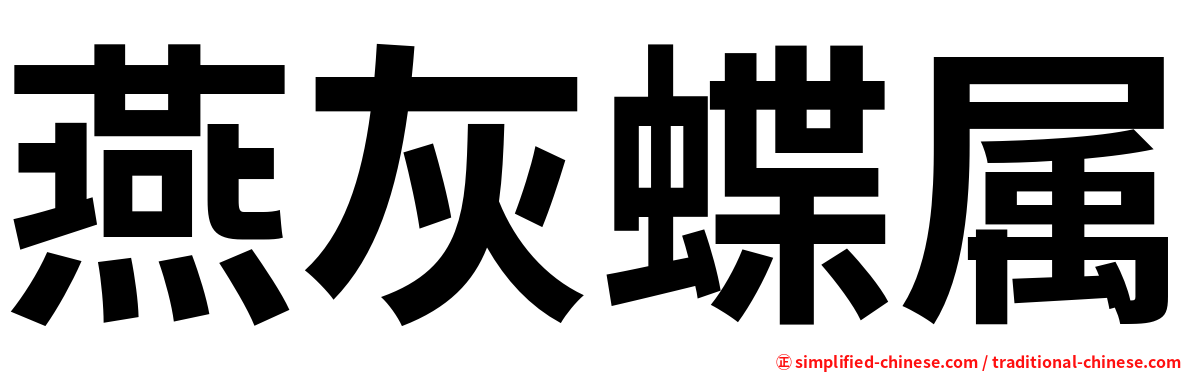 燕灰蝶属