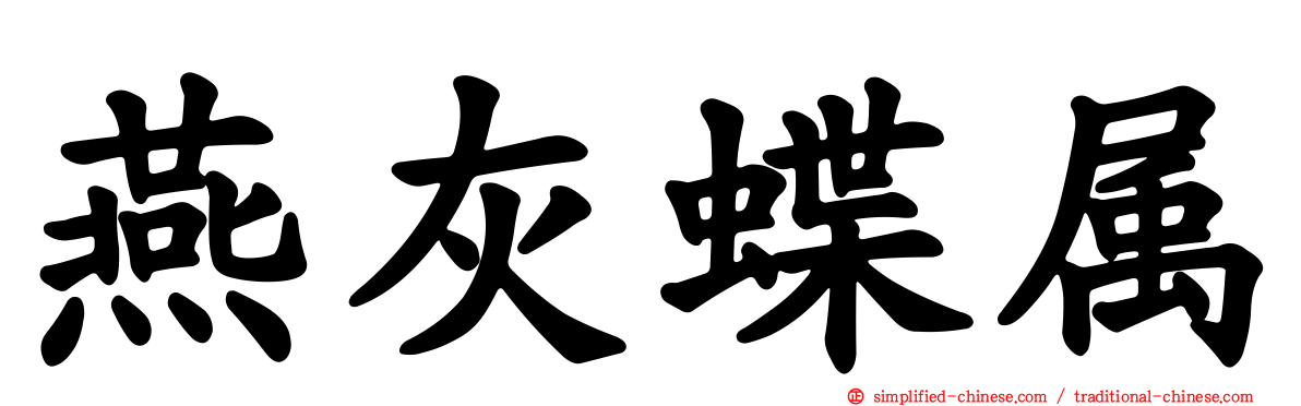 燕灰蝶属
