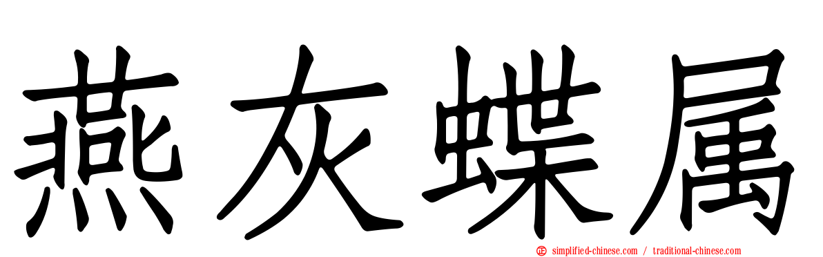 燕灰蝶属