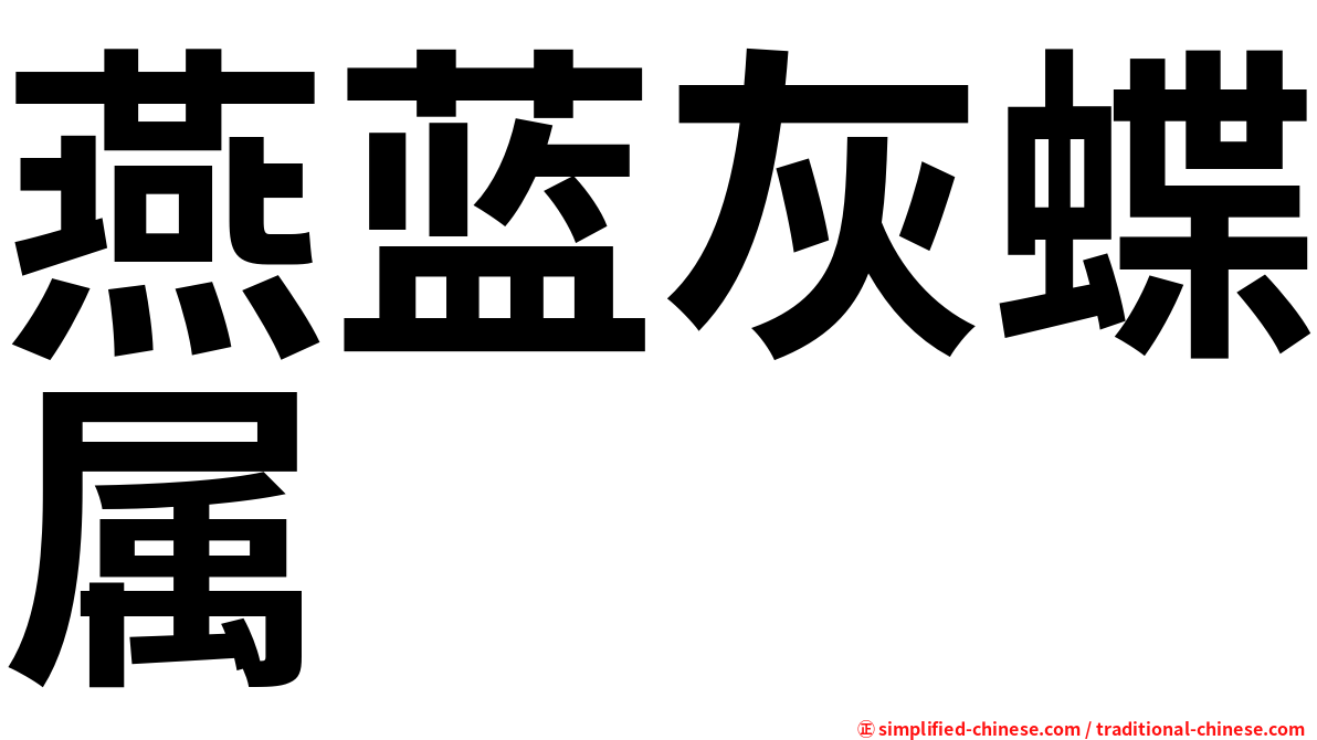 燕蓝灰蝶属