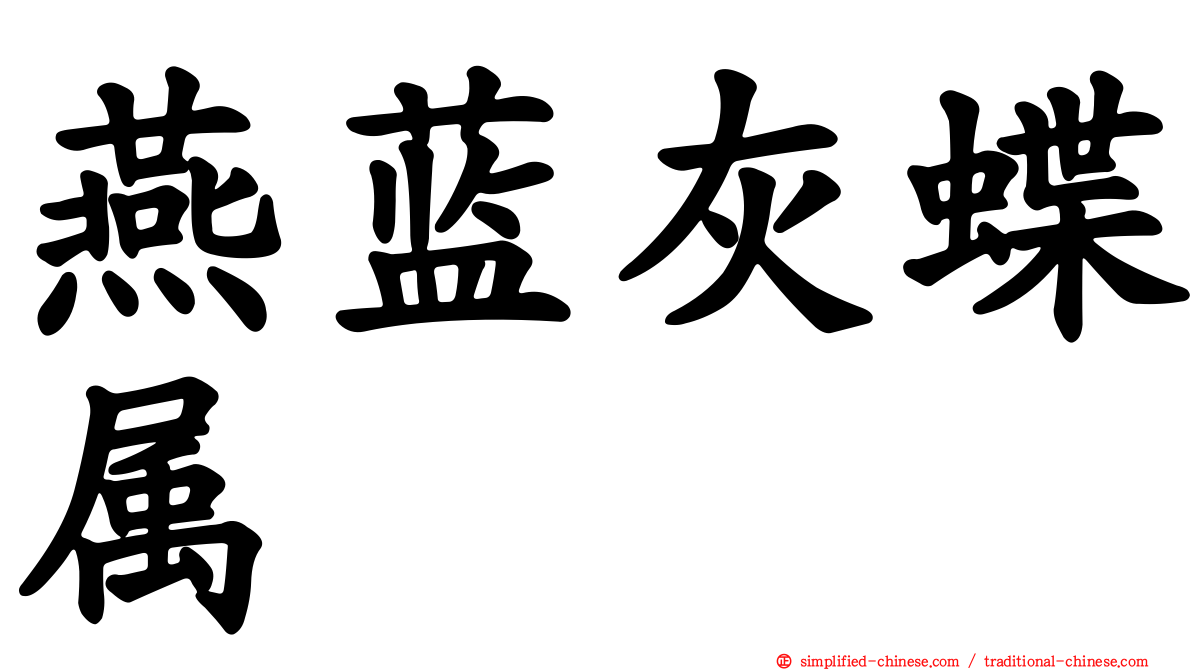 燕蓝灰蝶属