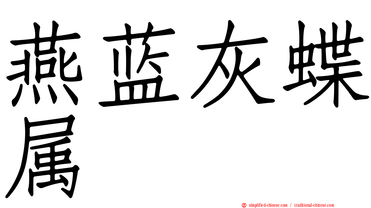 燕蓝灰蝶属