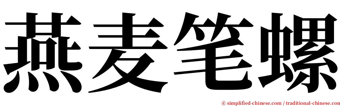 燕麦笔螺 serif font