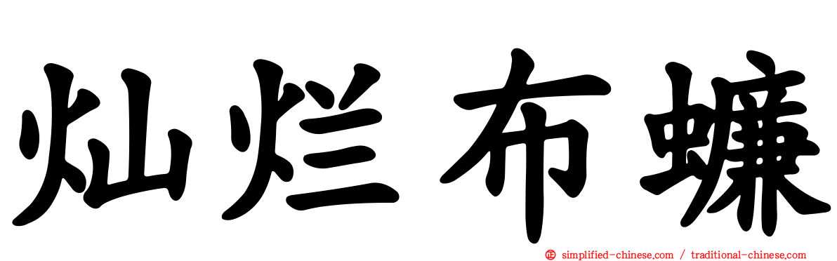 灿烂布蠊